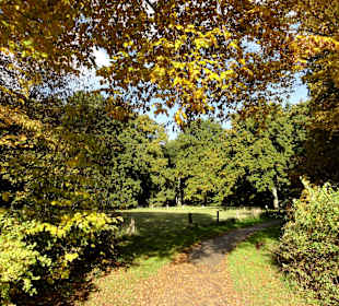 Herbstspaziergang durch den Bürgerpark Bremen