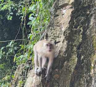 Batu Caves