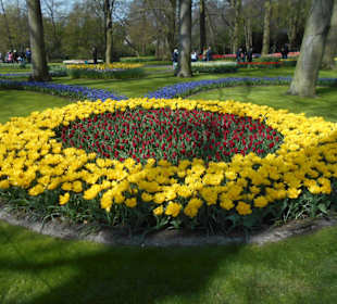 Blumenpracht im Keukenhof