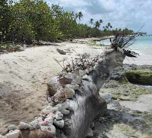 Südlich, naturbelassen