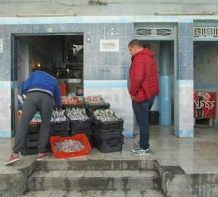 Stadtrundfahrt Sousse