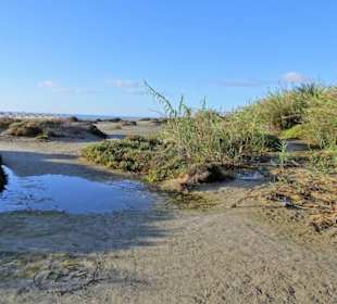Lagunen am Strand der Costa Calma