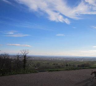 Blick vom Schloss Villa Ludwigshöhe