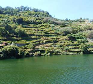 Douro Flussreisen