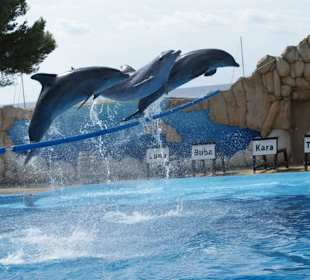 Marineland
