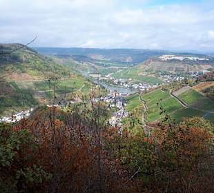 Wandern Traben-Trarbach