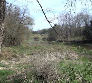 Totenbachsee