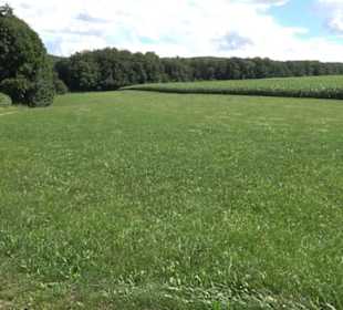 Burgruine Blankenstein