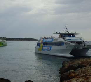 Ausflug Glasboot Sea Odyssey