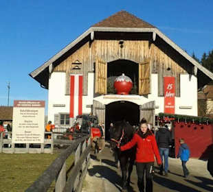 Adventmarkt auf Gut Aiderbichl 2016
