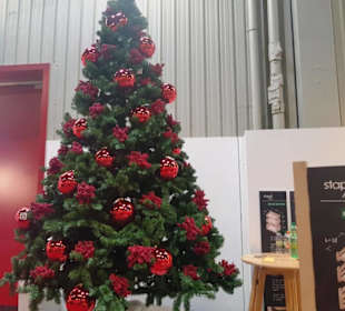 Weihnachtsbäume 