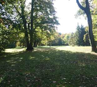 Ein Tag im Englischen Garten