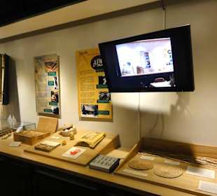 Blick in die Ausstellung