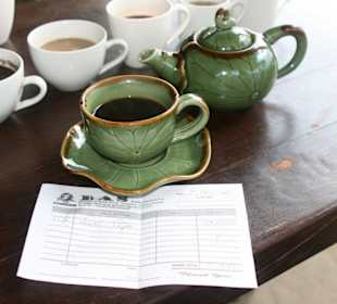 Kaffee Luwak - der teuerste Kaffe der Welt