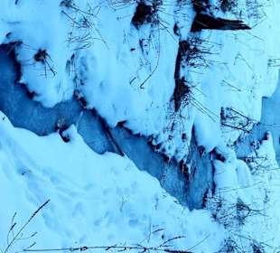 Kleiner Bachzulauf zum See schönes Panoramabild