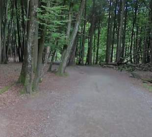 Nationalpark Jasmund