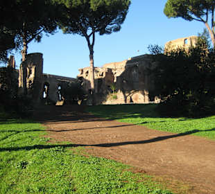 Und allein am Morgen