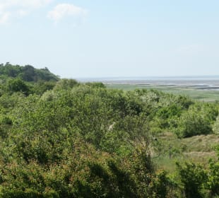 Ausblick von der Aussichtsplattform Duhner Heide
