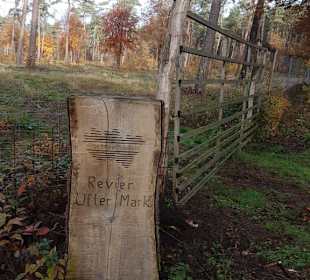 Ameisen Barfußpfad Schermbeck in der Üfter Mark