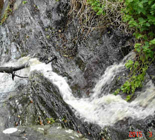 Tsitsikamma National Park