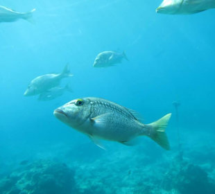 Aussicht vom Unterwasserturm