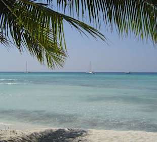 Saona
