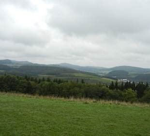 Aussicht bei Falknerei