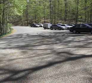 Waldsportpfad im Wasenwald