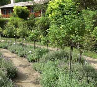 Rosengarten auf der Roseninsel