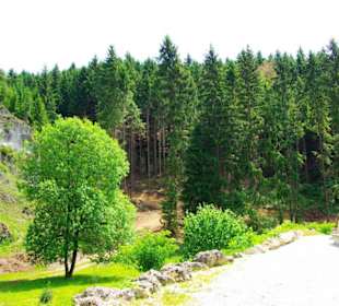 Wanderung zum Bärenfels