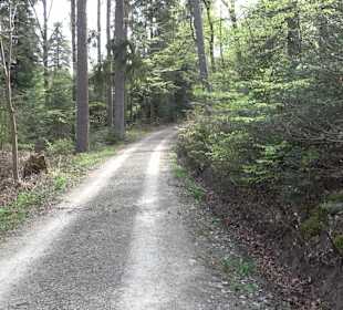 Walderlebnisweg Rottenburg