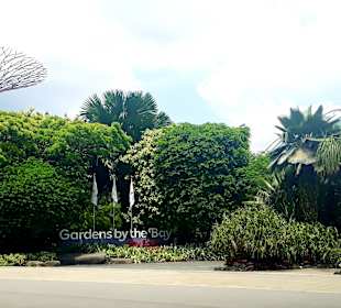 Gardens by the Bay