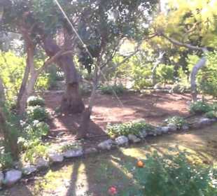 Garten + Kreuzgang hl. Margerite