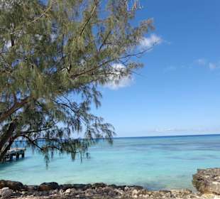 Im Bereich des National Parks