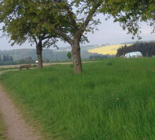 Traumschleife Ehrbachklamm 2022 – hinab zum Ehrbac