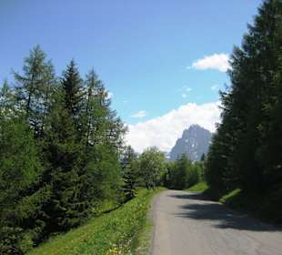 Blütenwanderung auf der Seiser Alm