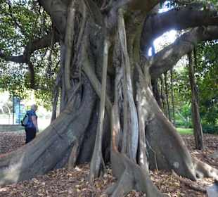 Stadtrundgang Sydney