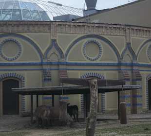 ZOO Berlin