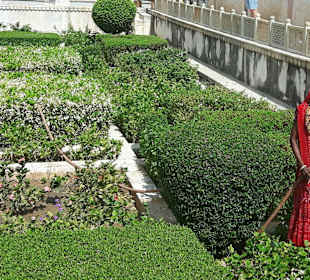 Gärtnerin im Amber Fort
