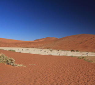 Death Vlei (ca. 1,5 km vom Parkplatz)
