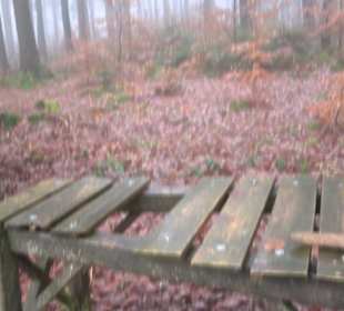 Wasser & Klang Pfad in Auernheim