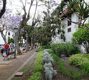 Parque del Drago