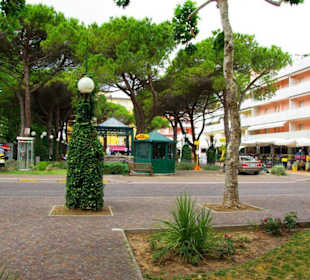 Bibione im Bild 06-2011