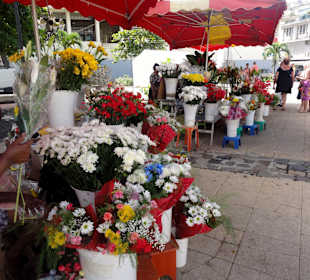Der Marché aux Fleurs in Pointe-à-Pitre