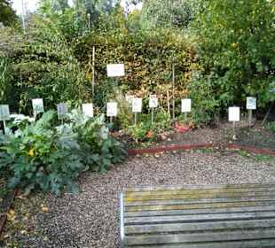 Kräutergarten