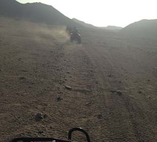 Quad-Tour 