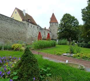Unterhalb der Stadtmauer - Wunderbar gestaltet