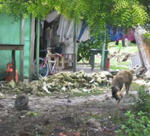 Seavis Tours  2011 bei Einheimischen