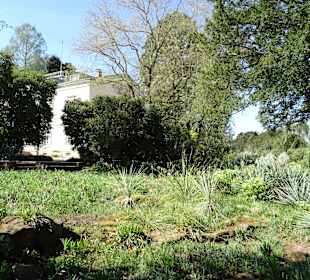 Sichtungsgarten Hermannshof