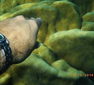 Hotel Stella Makadi Gardens